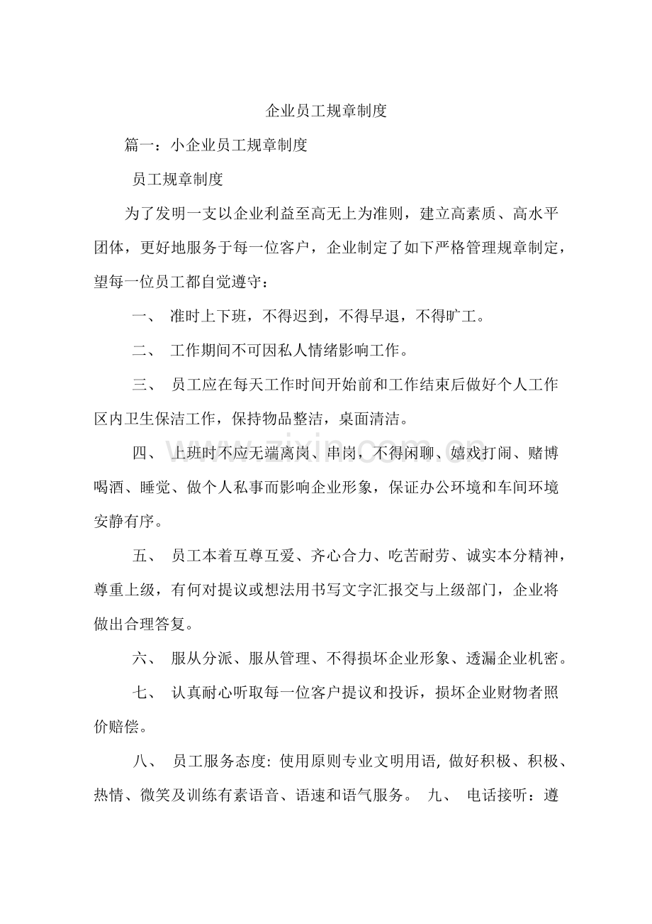 公司员工规章制度.docx_第1页