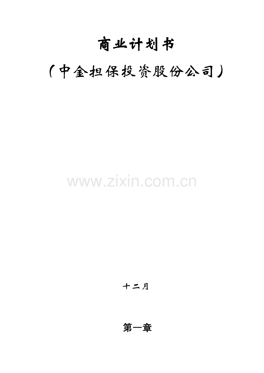 中金担保投资股份公司商业计划书.doc_第2页