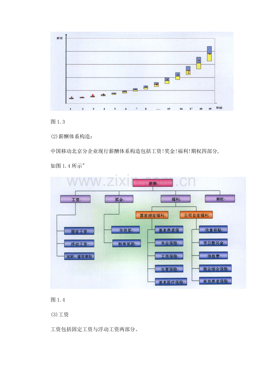 中国移动现行薪酬管理体系的评价精讲.doc_第2页