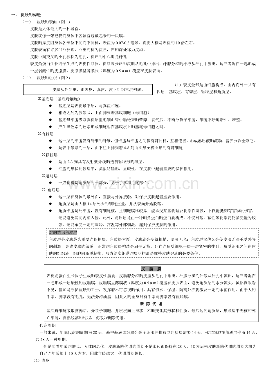 皮肤的基础知识.doc_第1页