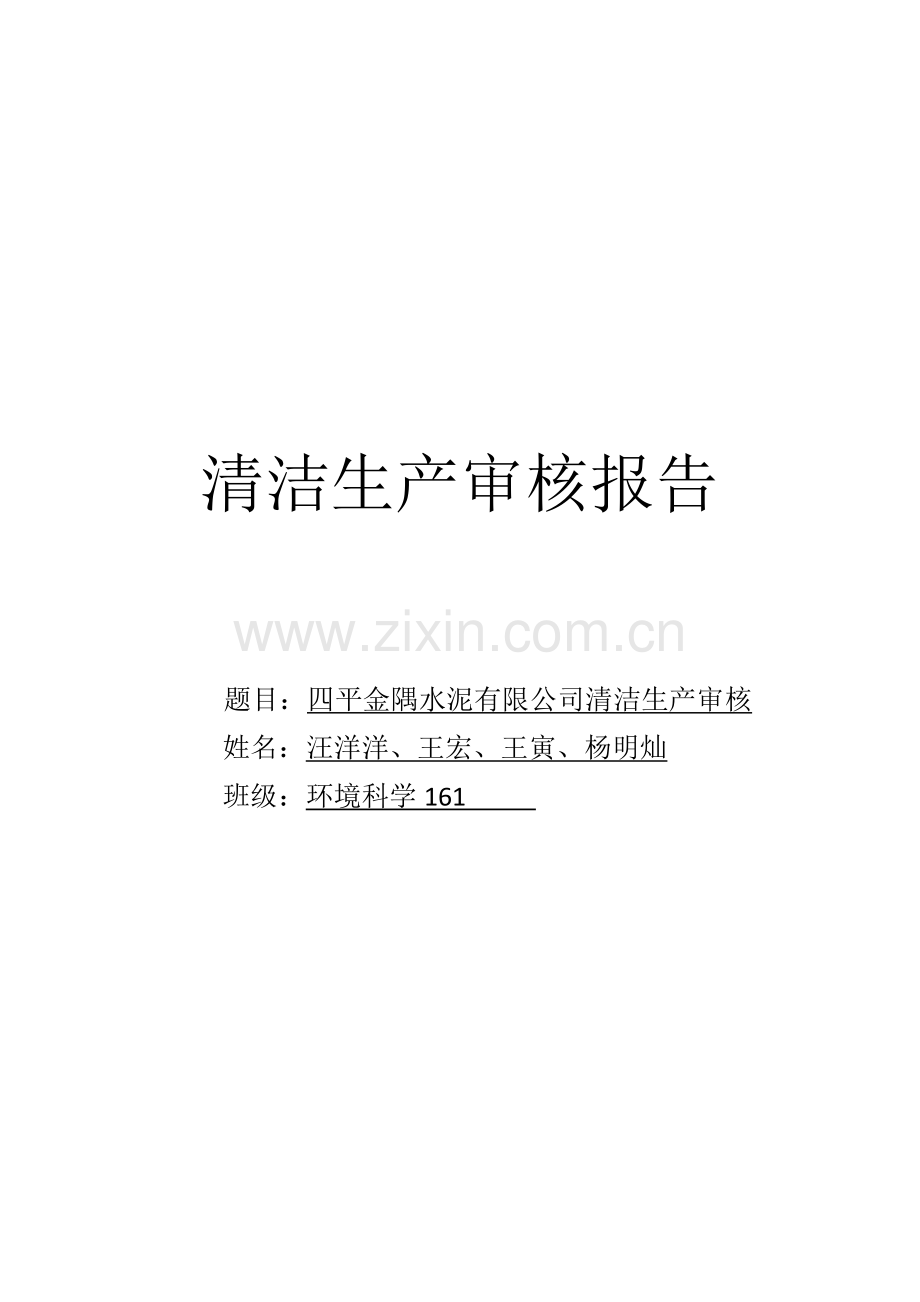 清洁生产审核报告.docx_第1页