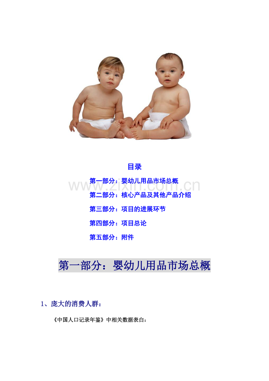 妇婴用品新渠道营销商业计划书.doc_第2页