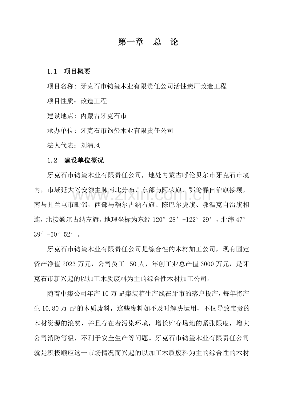 活性炭厂改造工程项目可行性研究报告.doc_第1页