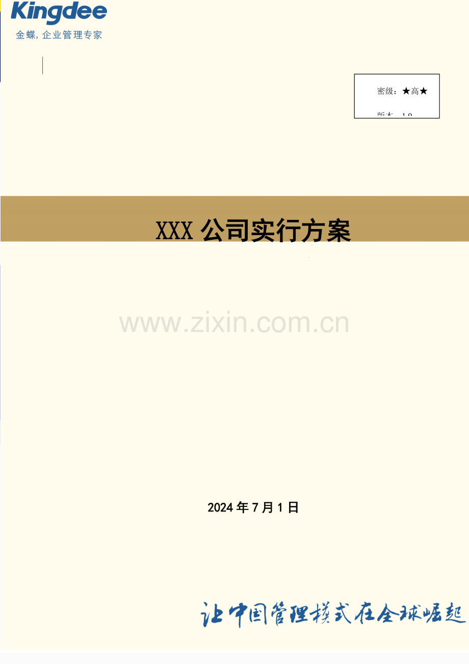 X公司财务物流项目实施方案.doc_第1页