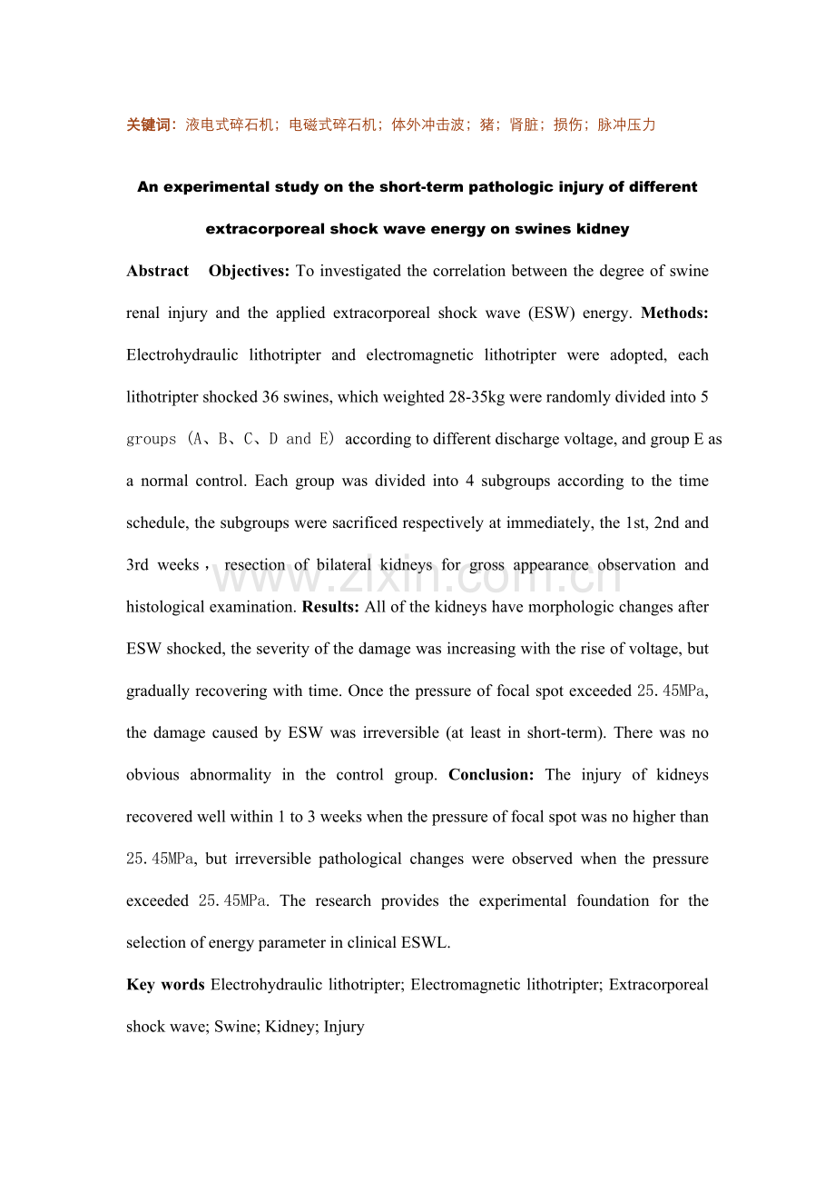 不同能量冲击波对猪肾近期病理损伤的实验研究.doc_第3页