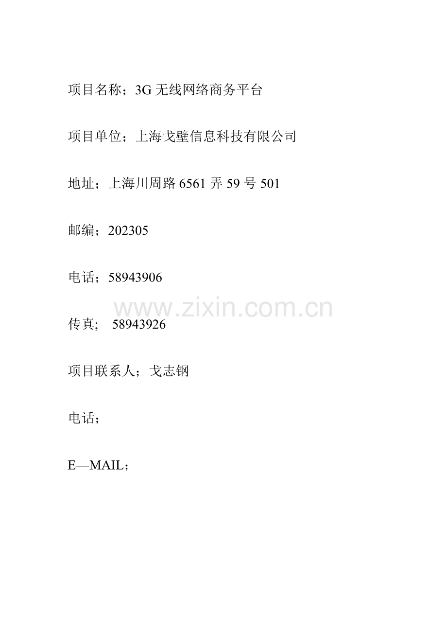 上海戈壁信息科技有限公司商业计划书.doc_第2页