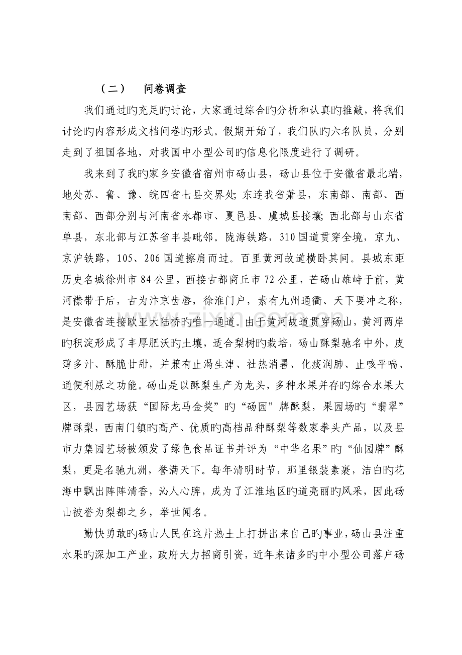 中小企业信息化调查个人报告.doc_第3页