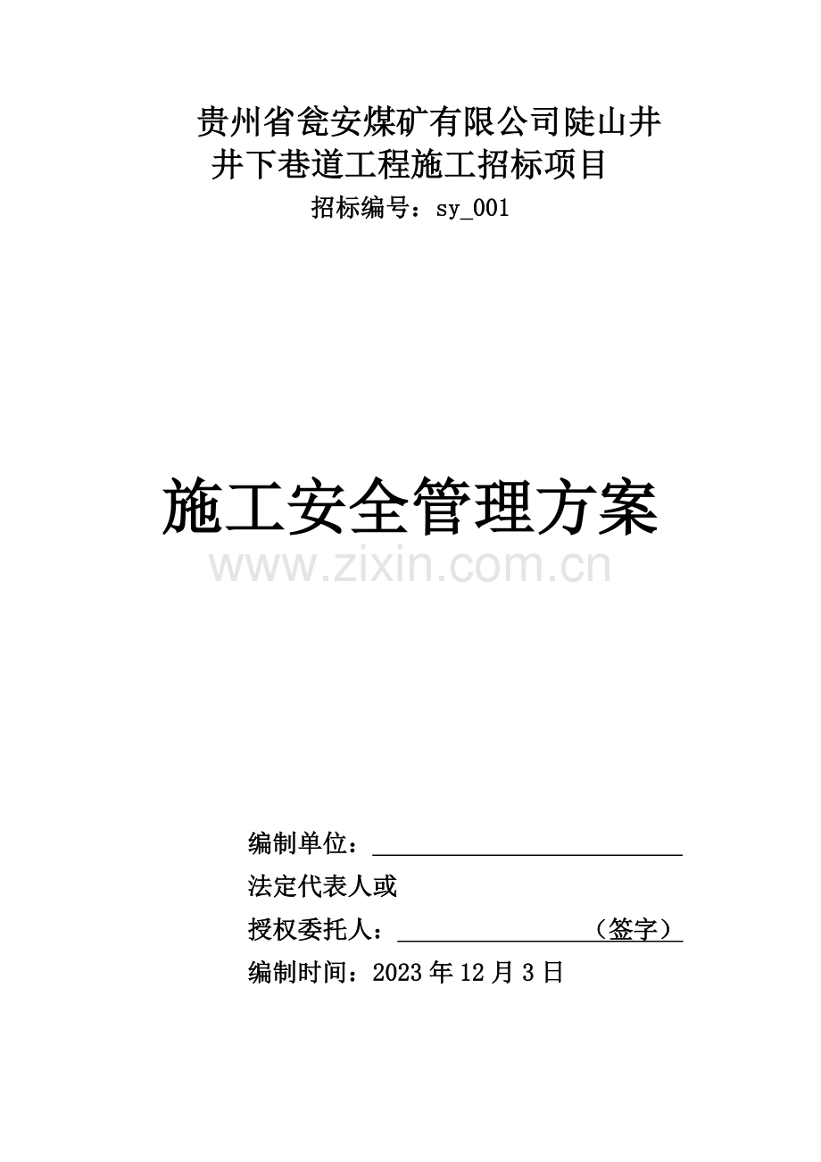 瓮安煤矿招标项目项目陡山井井巷工程施工安全管理方案.doc_第1页