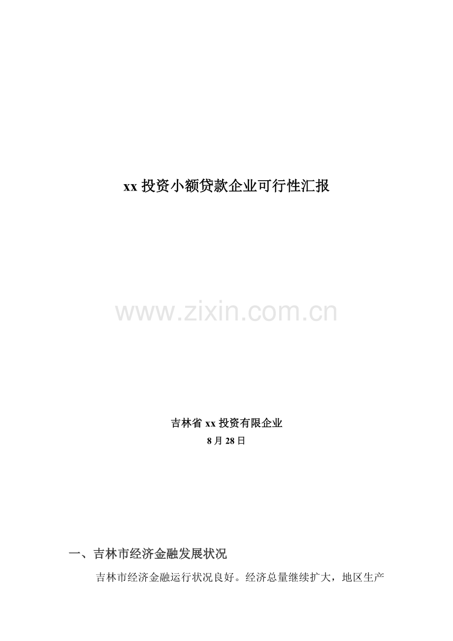 某某投资小额贷款公司可行报告.doc_第2页