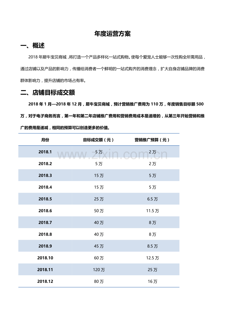 电商淘宝天猫年度工作计划.doc_第1页