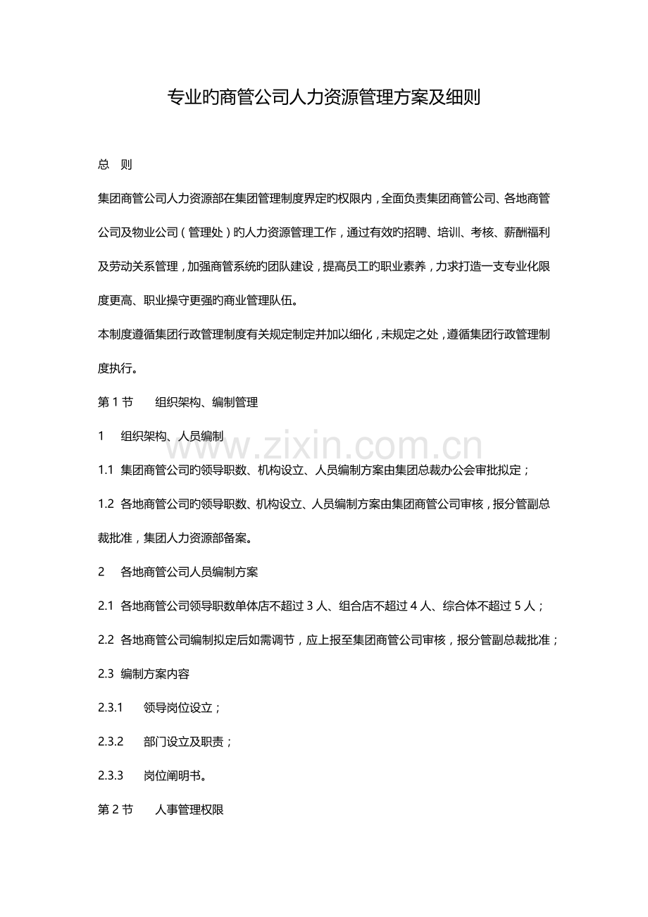 商管公司人力资源管理方案细则.docx_第1页