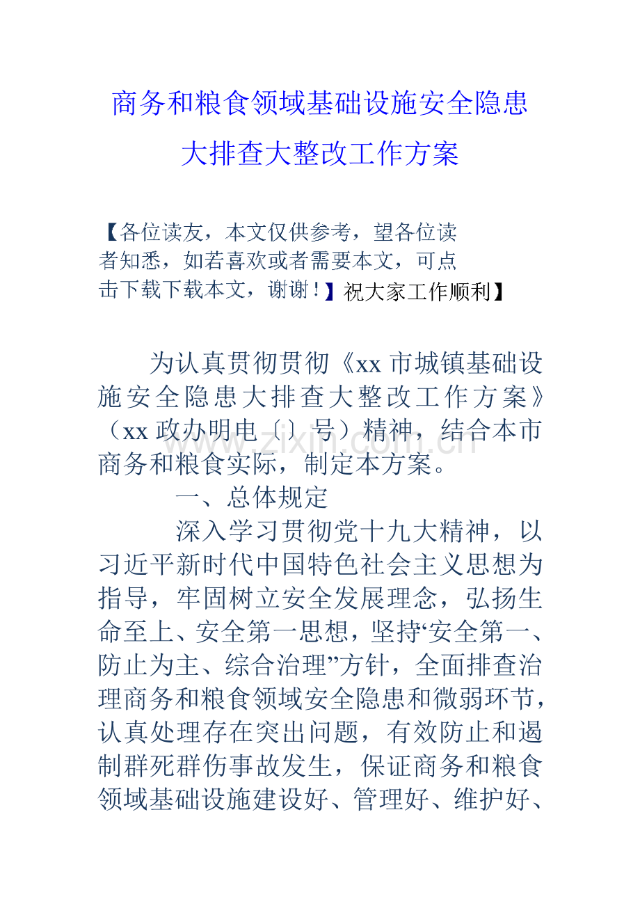 商务和粮食领域基础设施安全隐患大排查大整改工作方案.doc_第1页