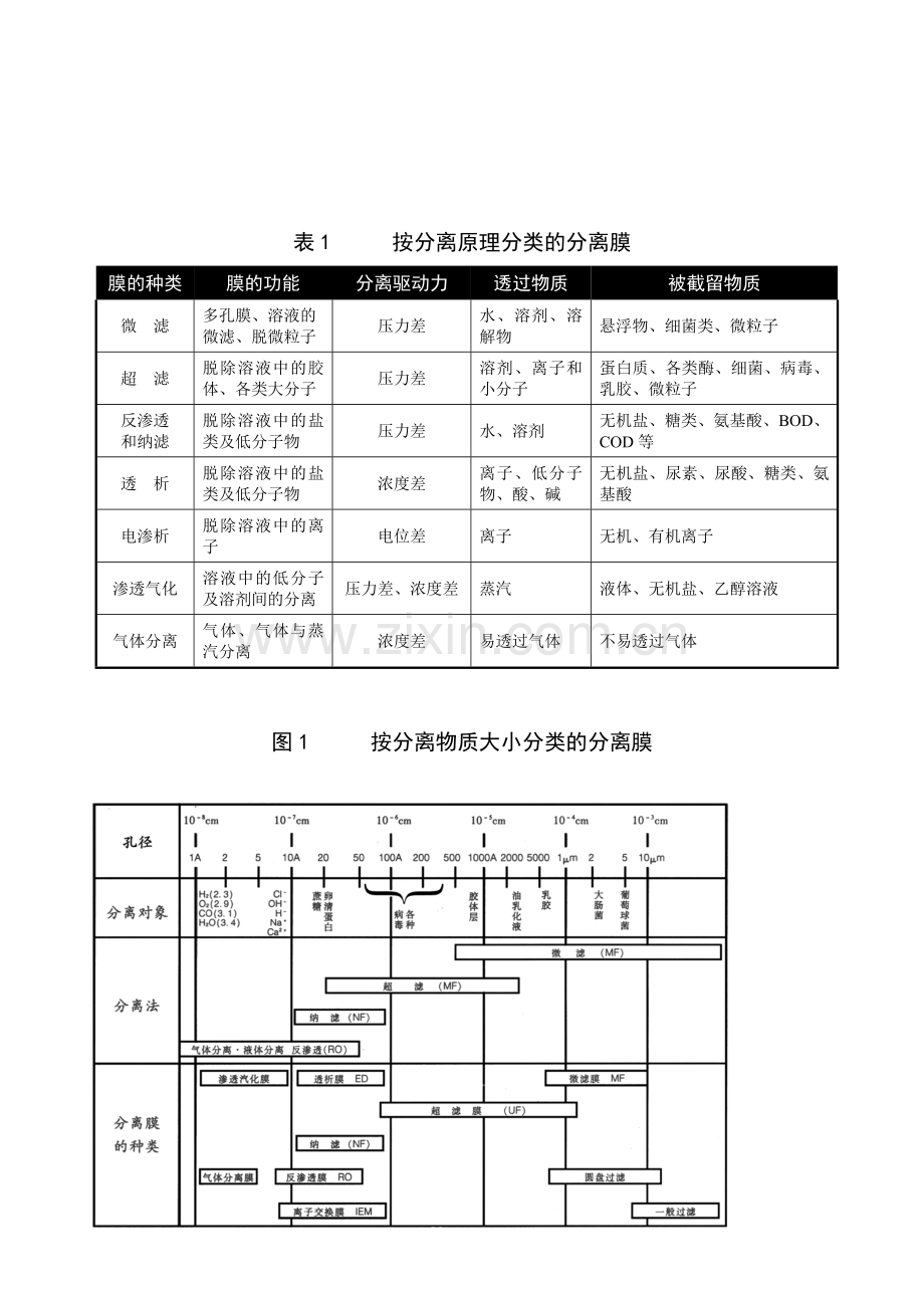 新版反渗透膜技术资料.doc_第2页