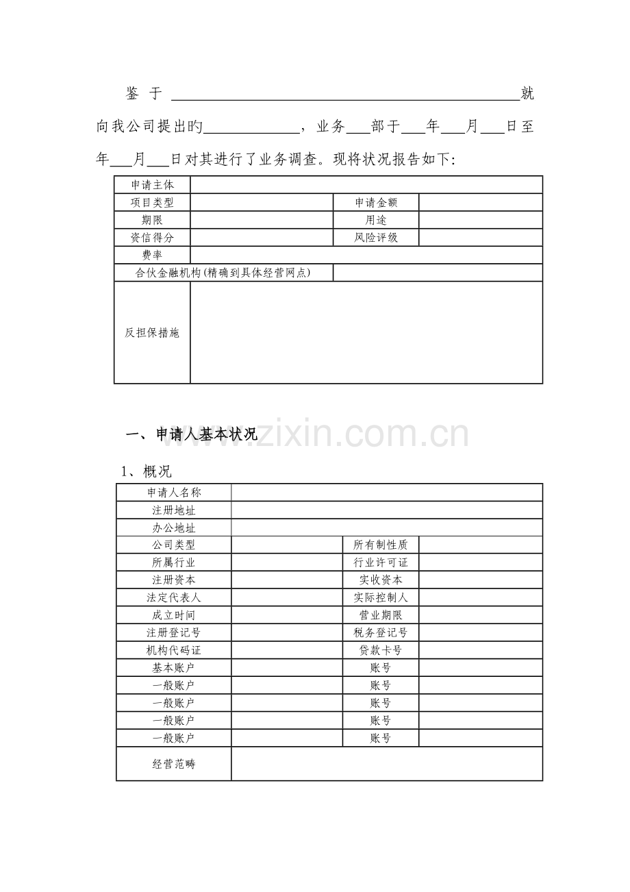 担保公司项目调查报告.doc_第2页