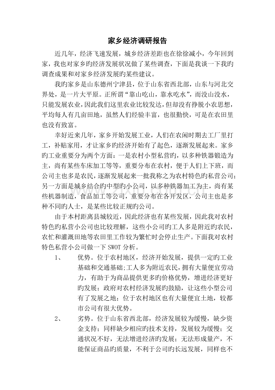 家乡经济调研报告.docx_第1页