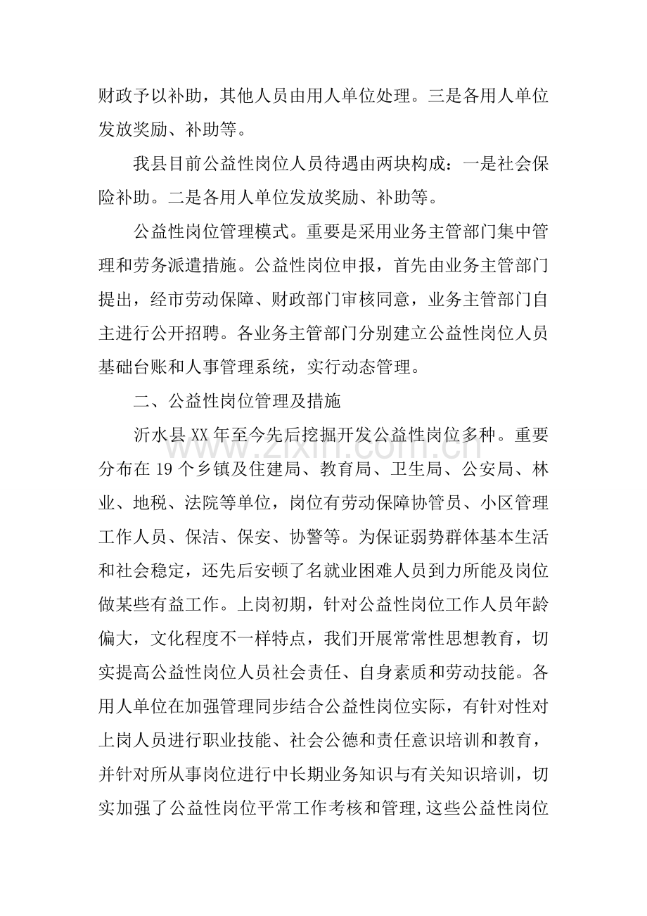 公益性岗位开发管理情况的调研报告.docx_第3页