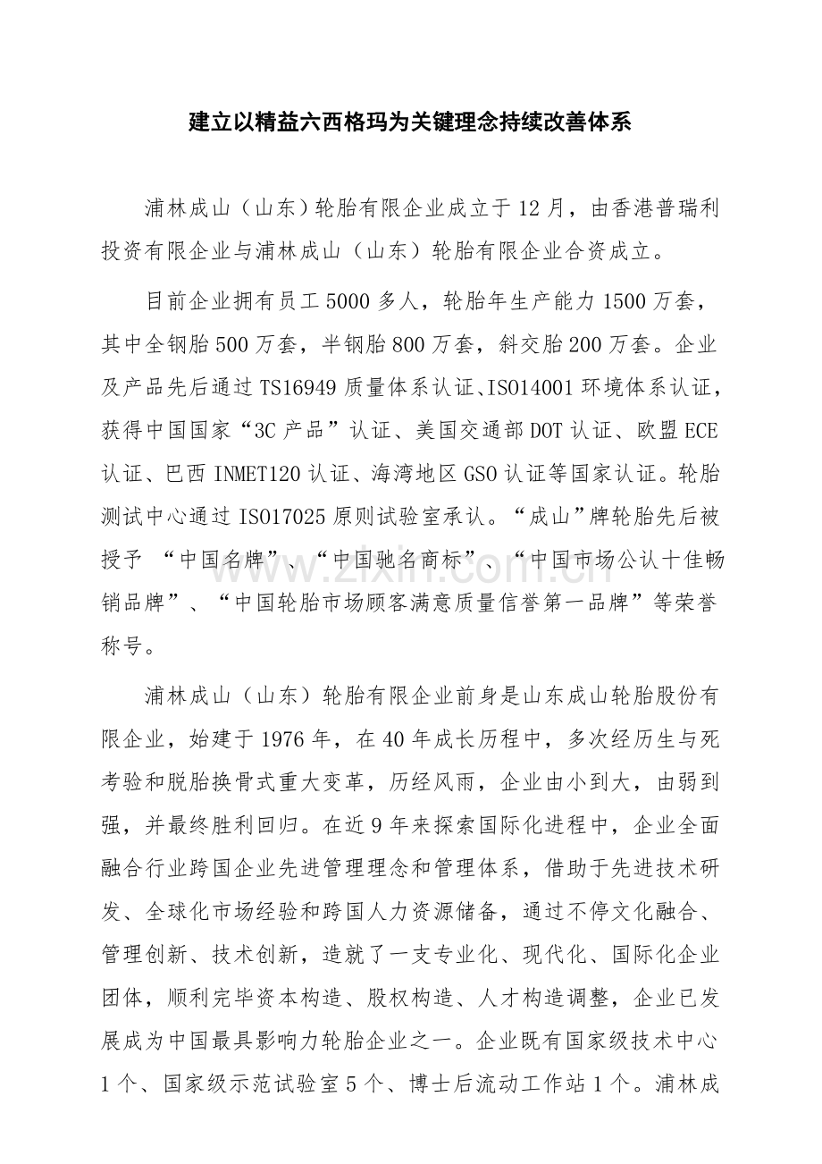 以精益六西格玛为核心理念的精细化管理模式.doc_第1页