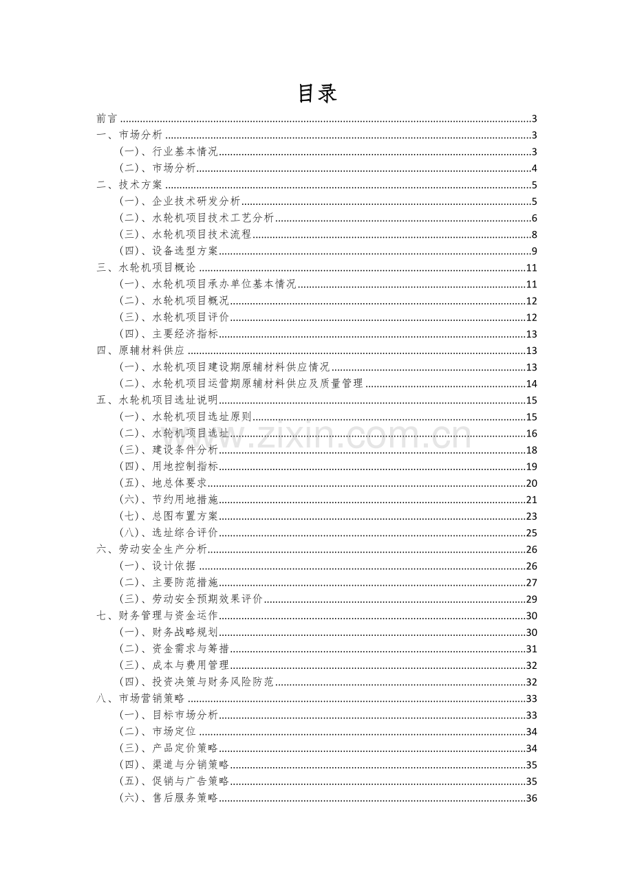 2024年水轮机项目可行性分析报告.docx_第2页