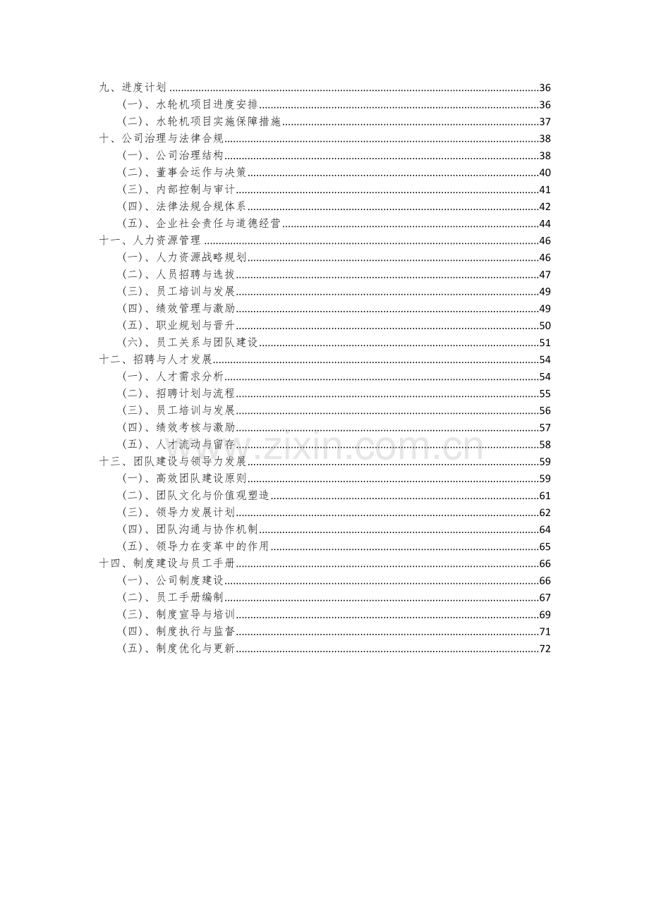 2024年水轮机项目可行性分析报告.docx_第3页