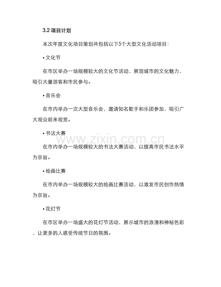 年度文化项目策划方案.docx_第2页