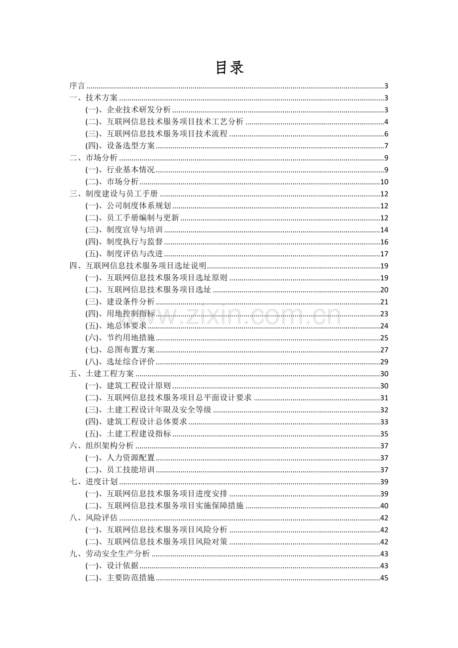 2024年互联网信息技术服务项目可行性分析报告.docx_第2页