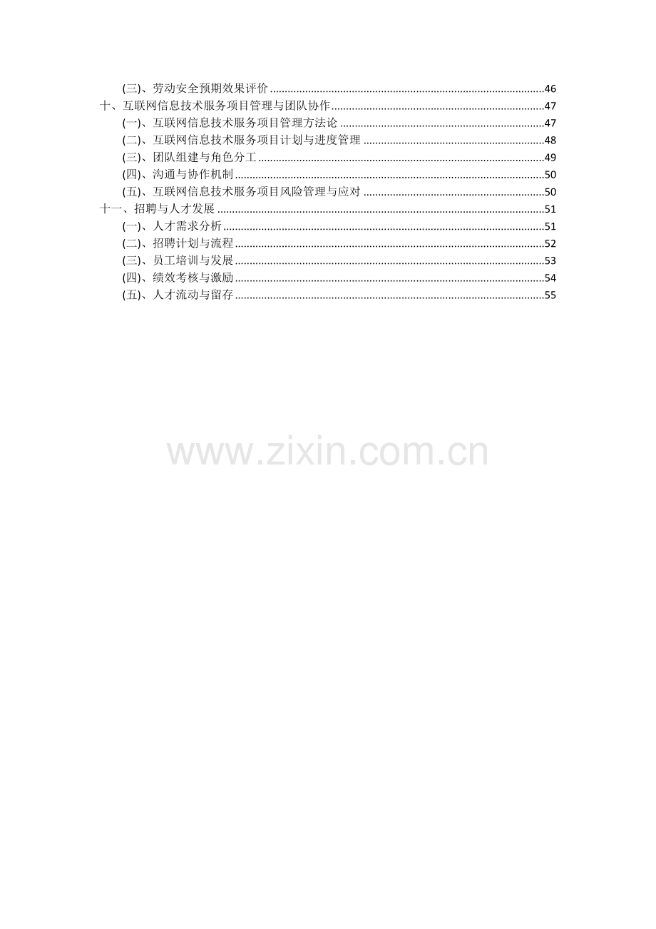 2024年互联网信息技术服务项目可行性分析报告.docx_第3页