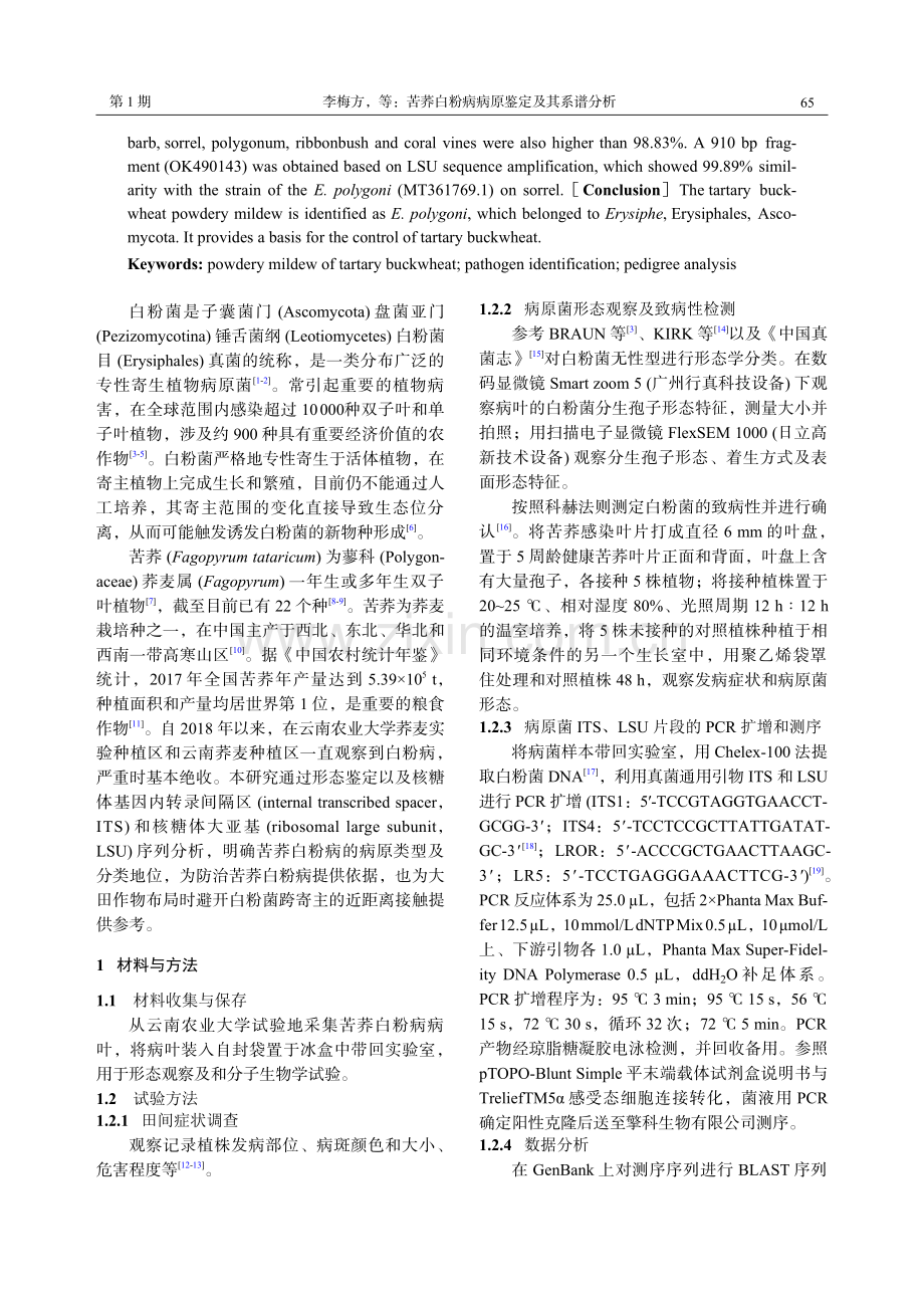 苦荞白粉病病原鉴定及其系谱分析.pdf_第2页