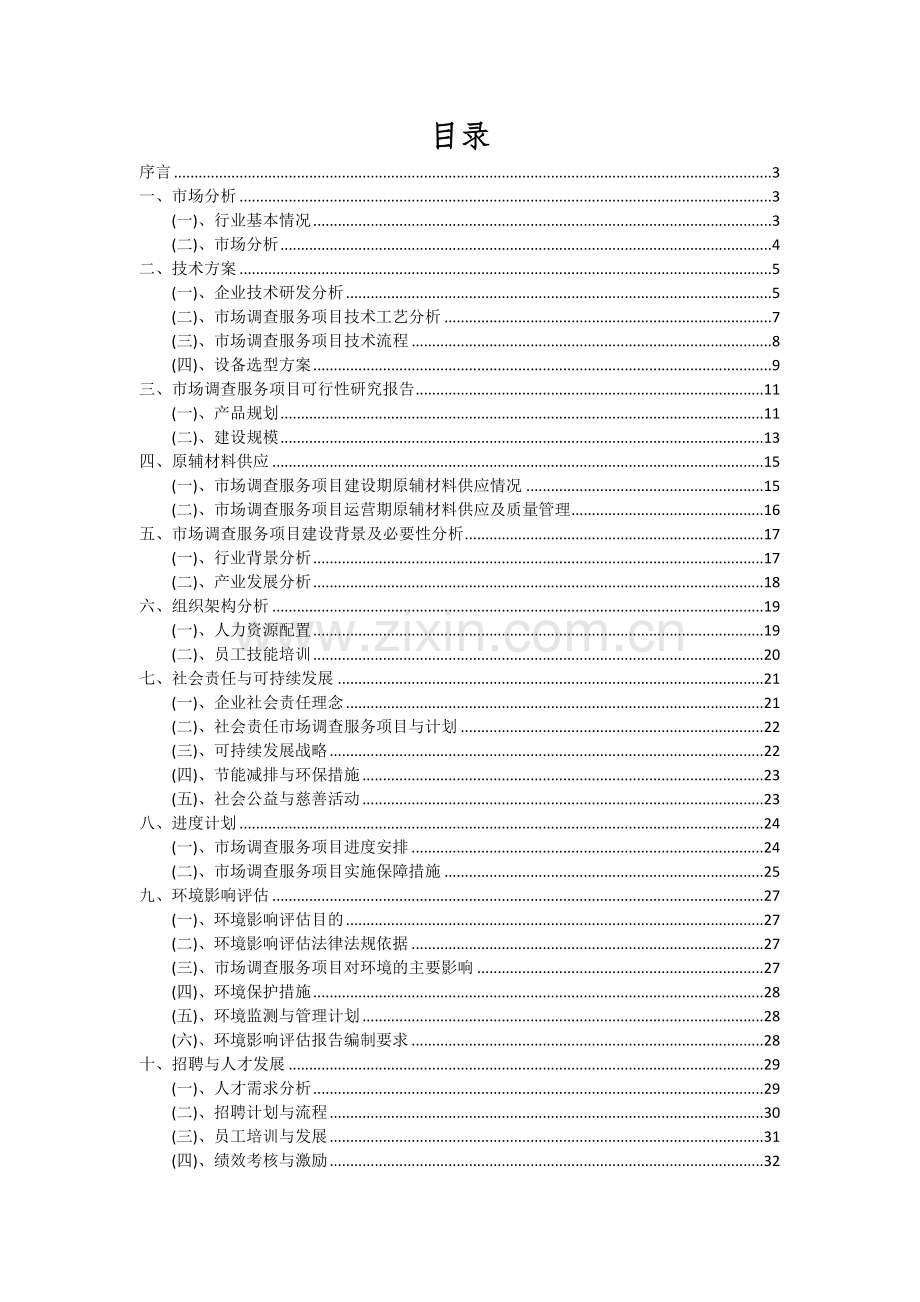 2024年市场调查服务项目可行性分析报告.docx_第2页