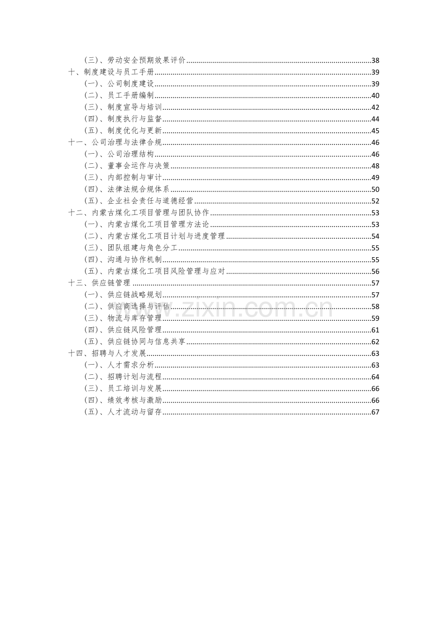 2024年内蒙古煤化工项目可行性分析报告.docx_第3页