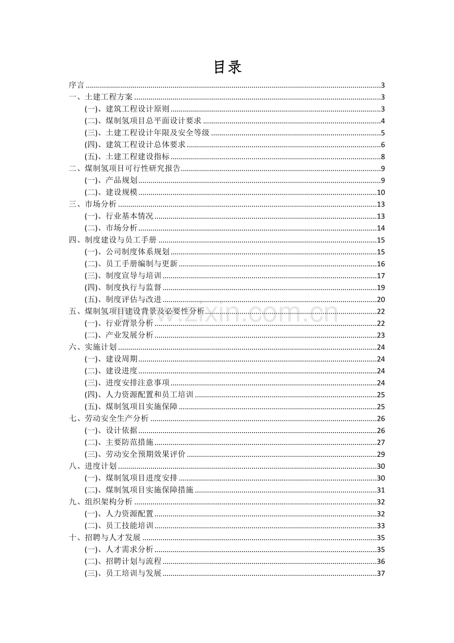 2024年煤制氢项目深度研究分析报告.docx_第2页