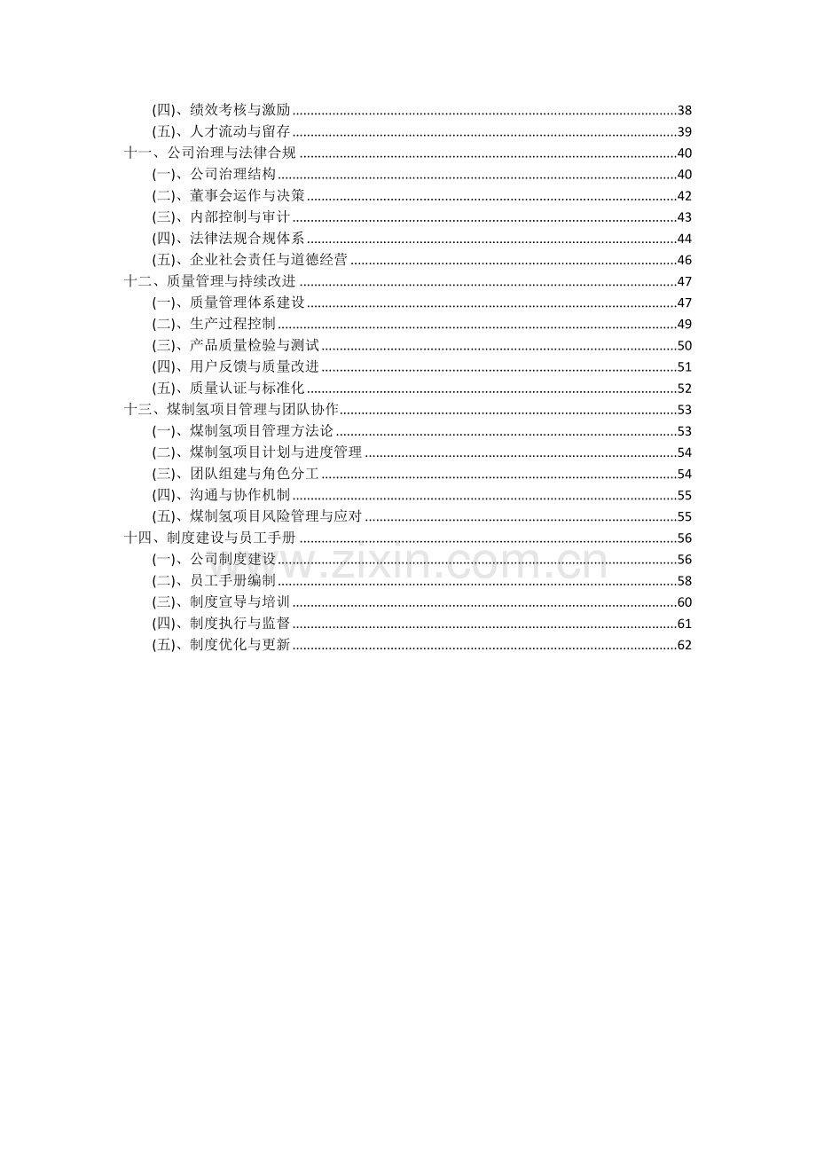 2024年煤制氢项目深度研究分析报告.docx_第3页