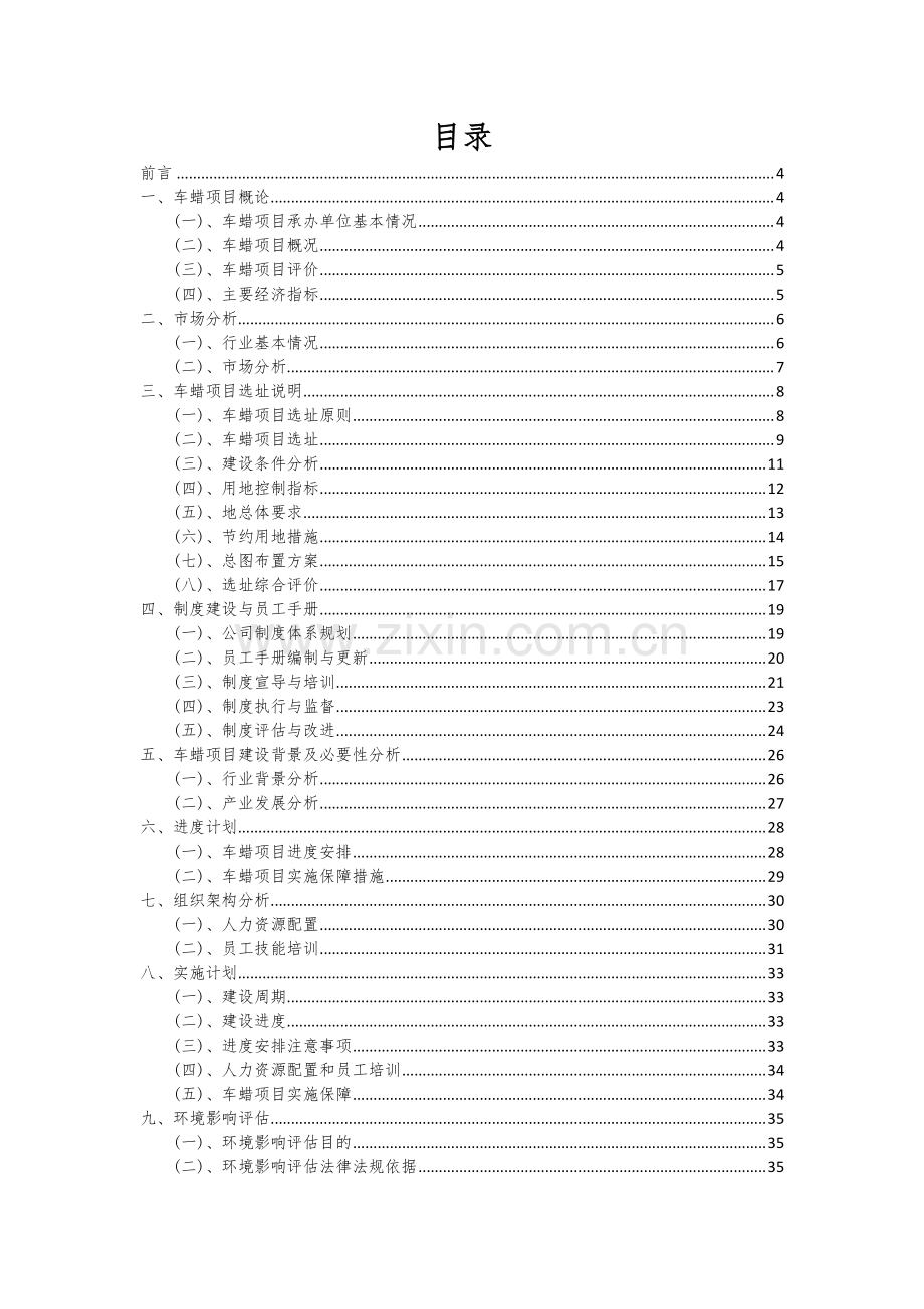 2024年车蜡项目可行性研究报告.docx_第2页