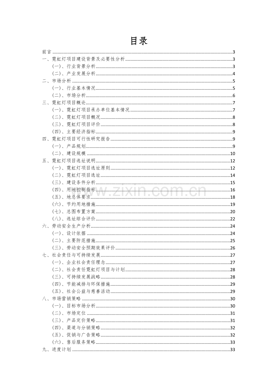 2024年霓虹灯项目深度研究分析报告.docx_第2页