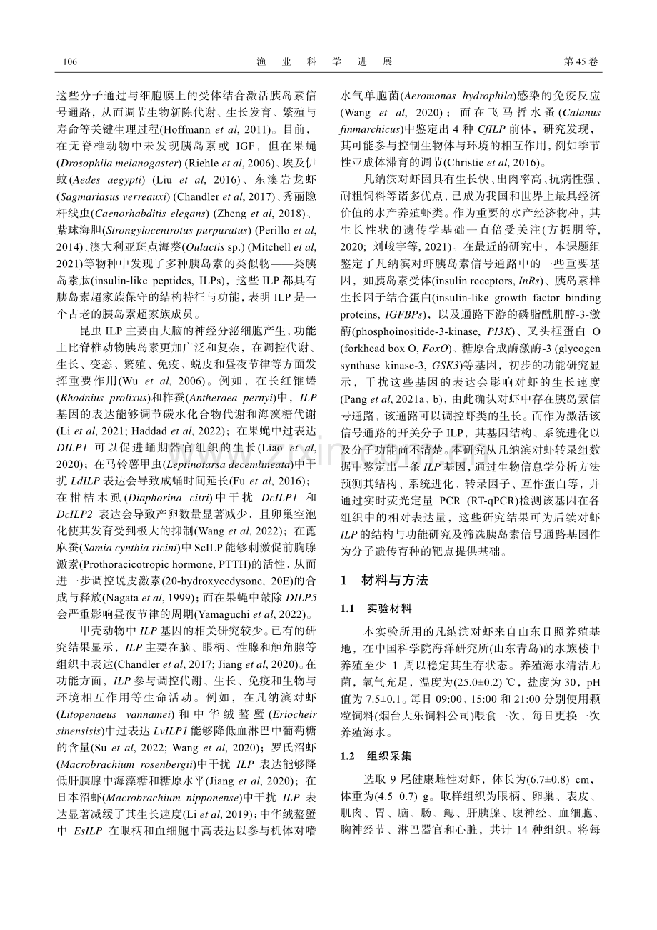 凡纳滨对虾类胰岛素肽基因的结构及表达分析.pdf_第2页