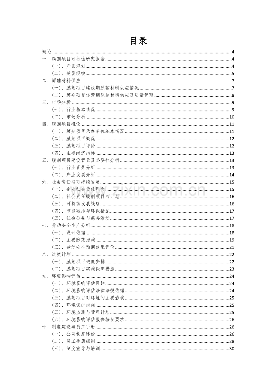 2024年膜剂项目可行性分析报告.docx_第2页