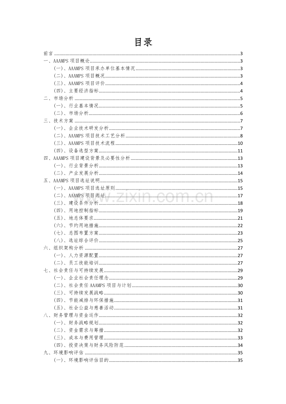 2024年AAAMPS项目可行性研究报告.docx_第2页