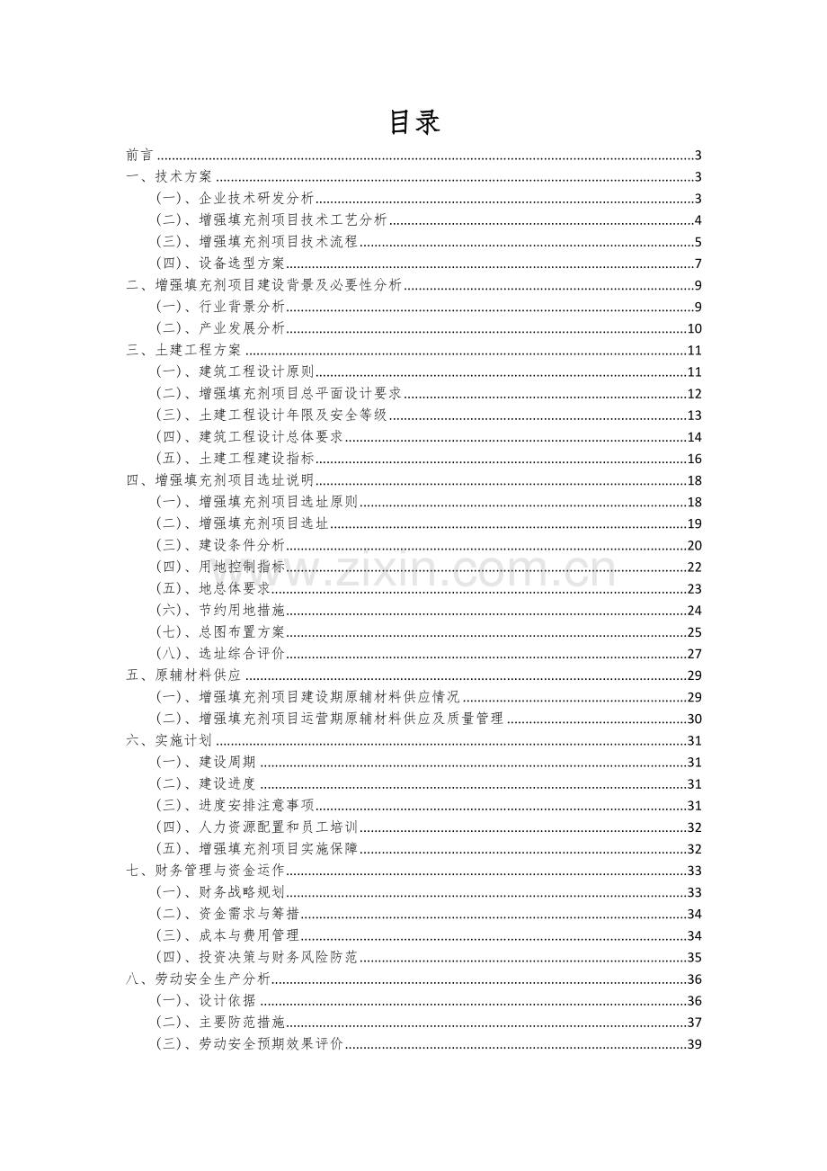 2024年增强填充剂项目可行性研究报告.docx_第2页