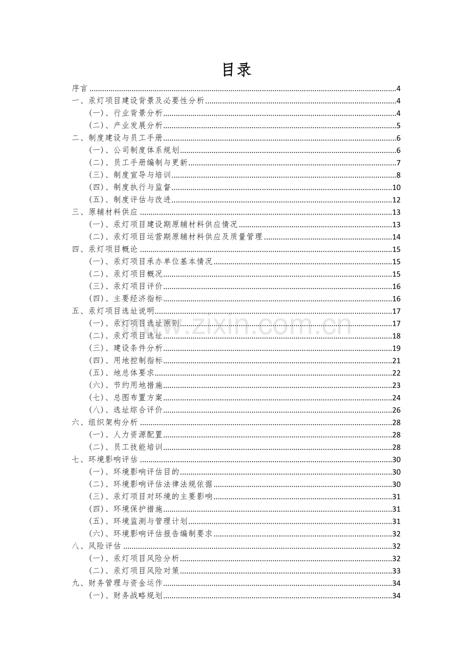 2024年汞灯项目投资分析及可行性报告.docx_第2页