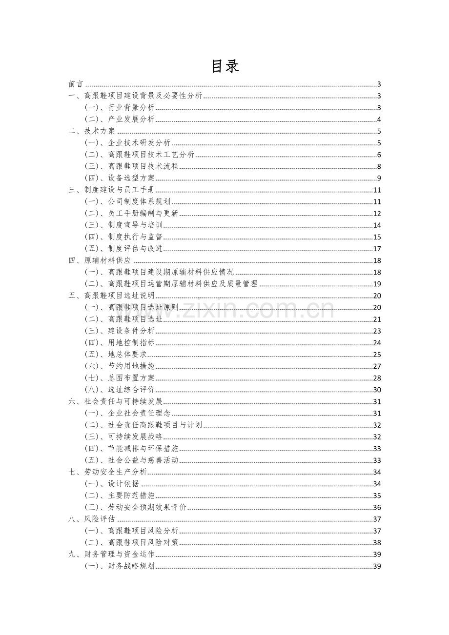 2024年高跟鞋项目深度研究分析报告.docx_第2页