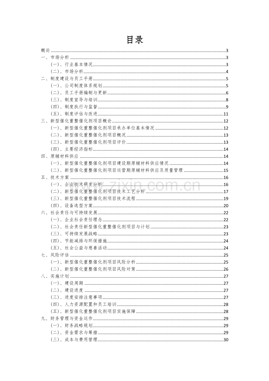 2024年新型催化重整催化剂项目深度研究分析报告.docx_第2页