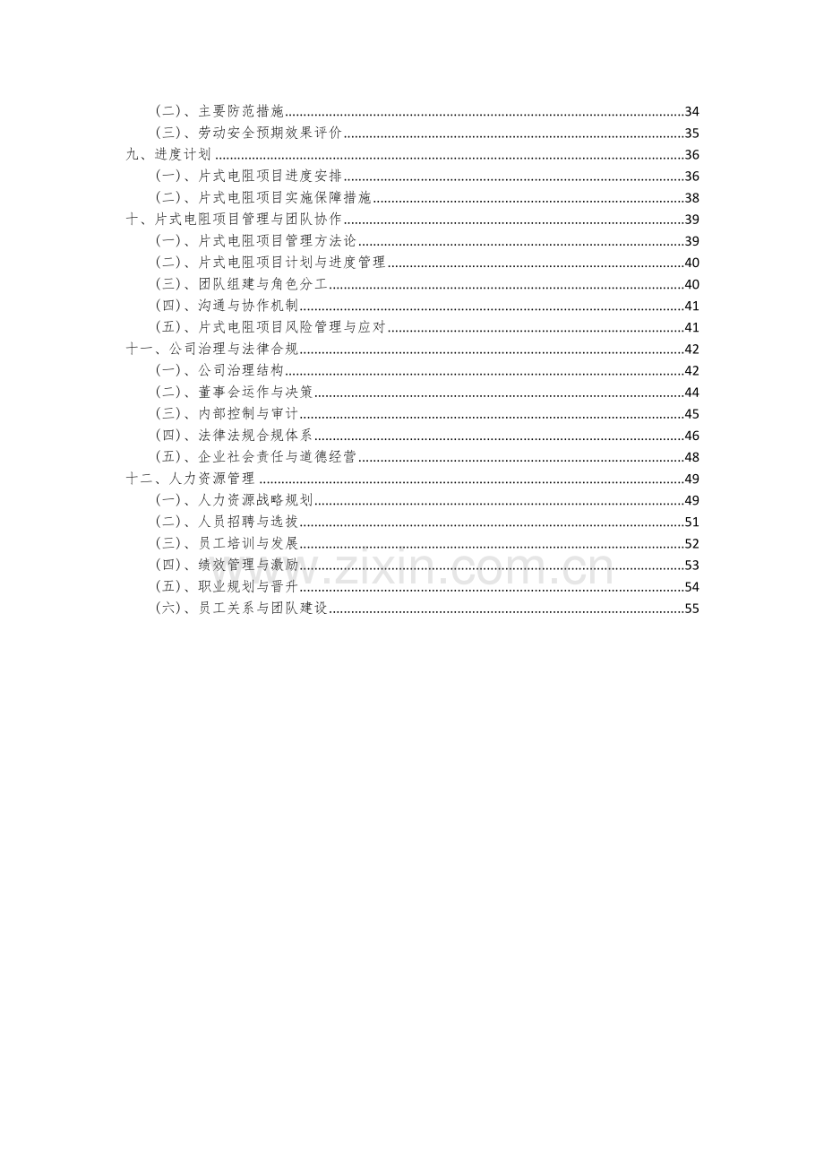 2024年片式电阻项目可行性研究报告.docx_第3页