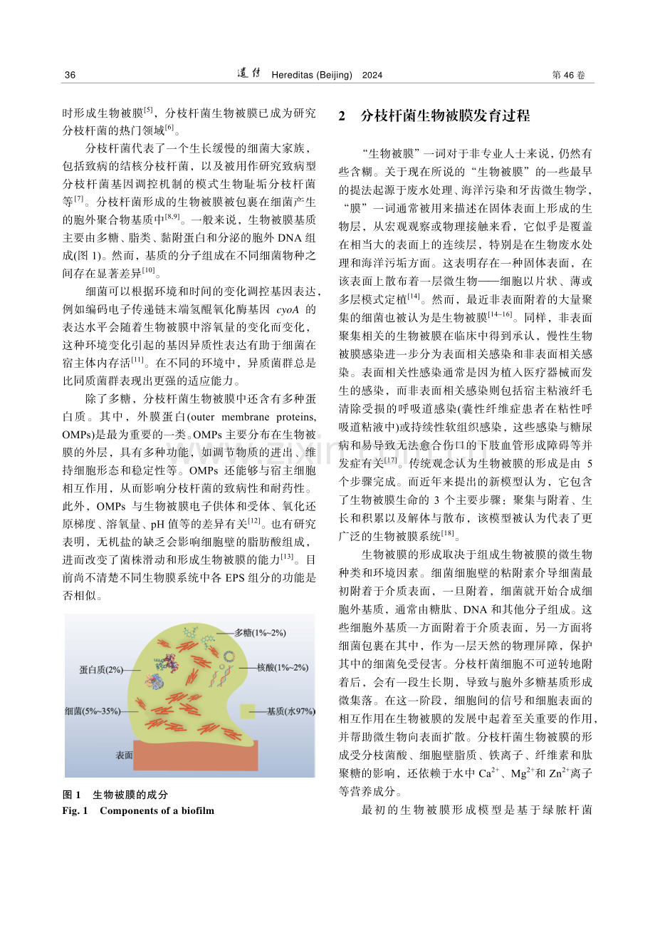 分枝杆菌生物被膜发育调控与抗生素耐药菌防控新措施研发.pdf_第3页