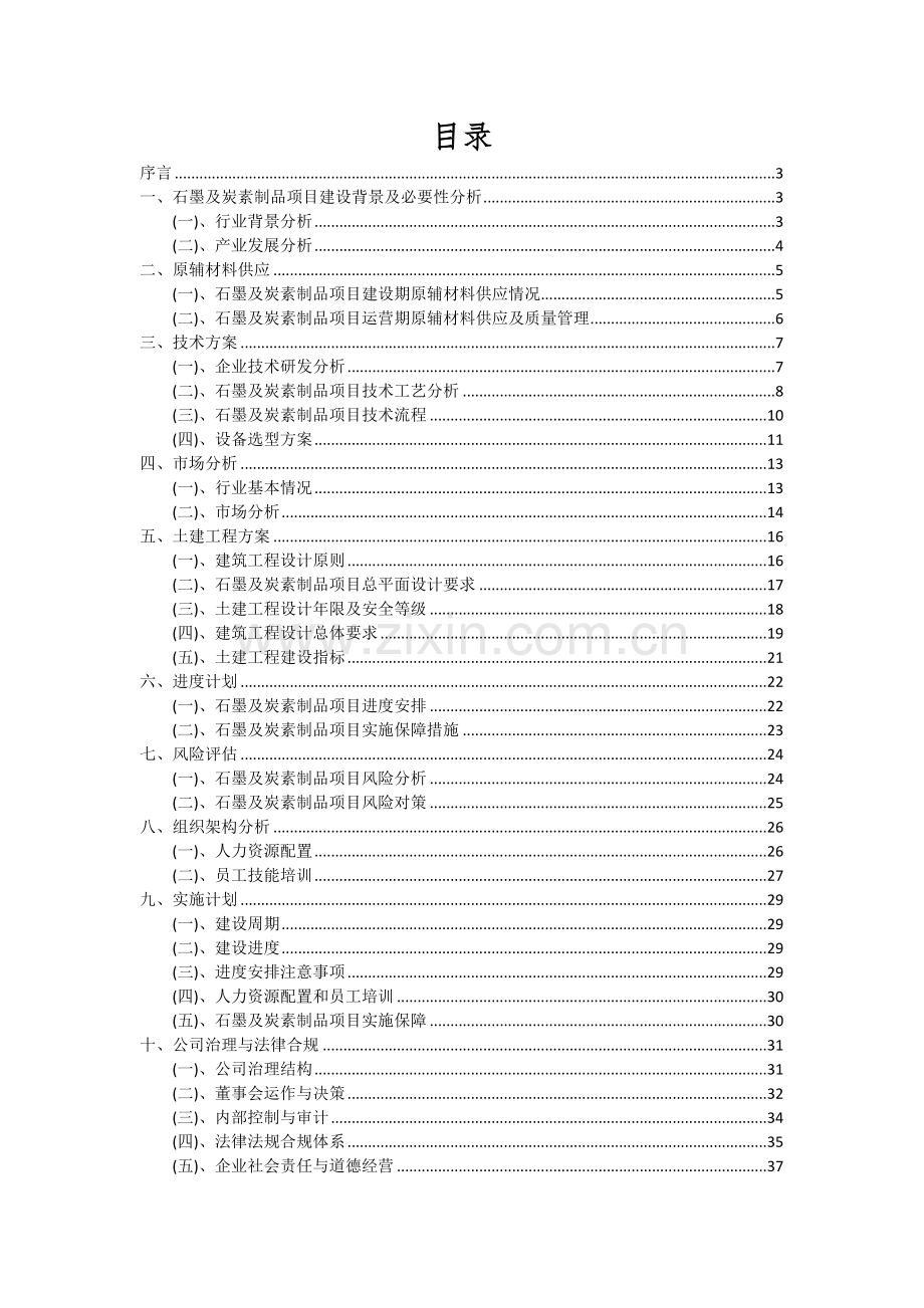 2024年石墨及炭素制品项目可行性研究报告.docx_第2页