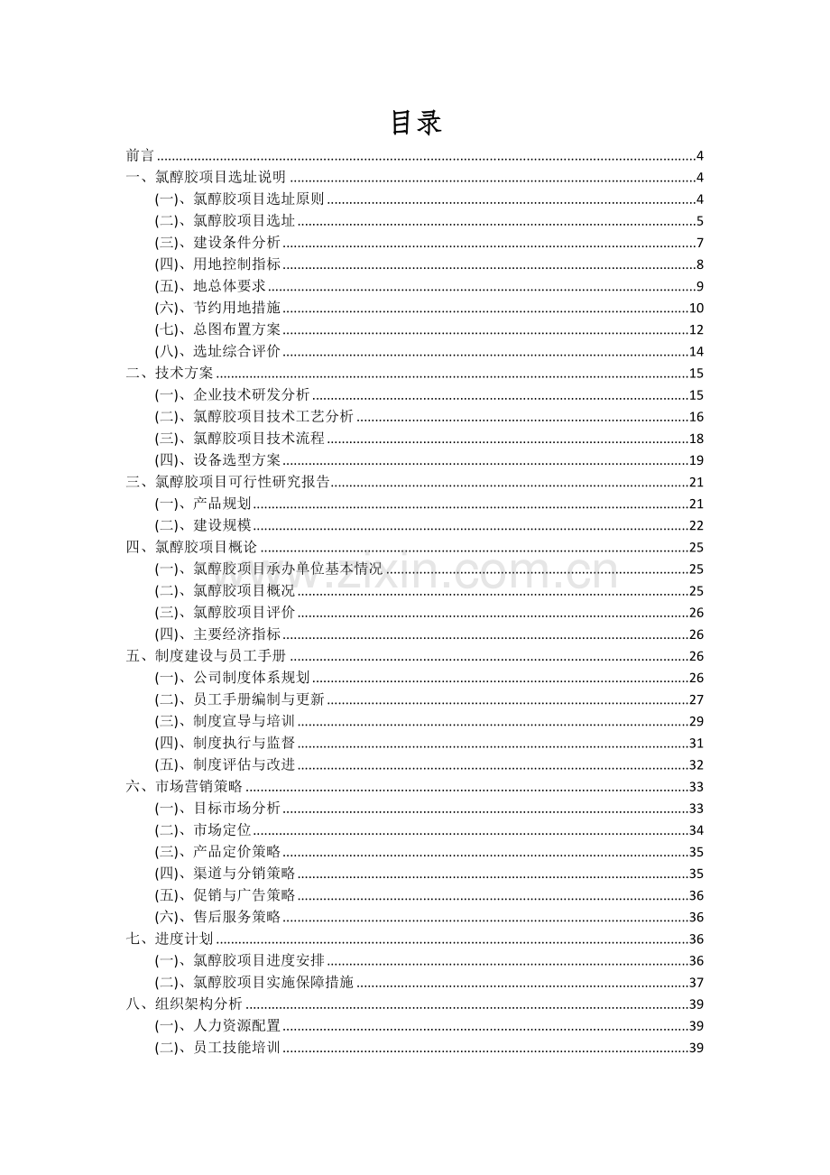 2024年氯醇胶项目投资分析及可行性报告.docx_第2页