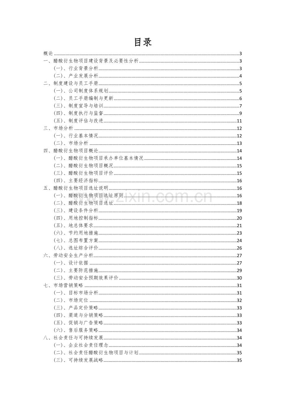 2024年醋酸衍生物项目可行性研究报告.docx_第2页