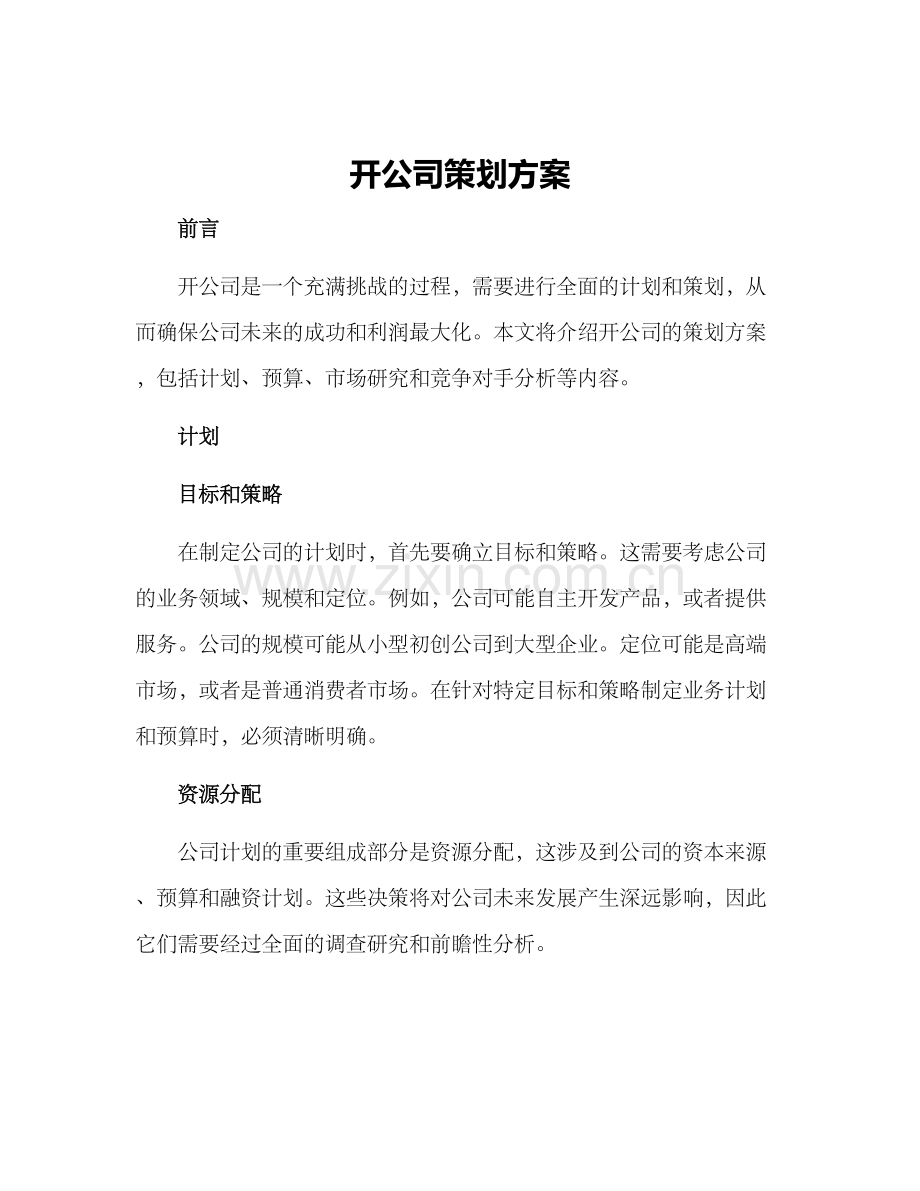 开公司策划方案.docx_第1页