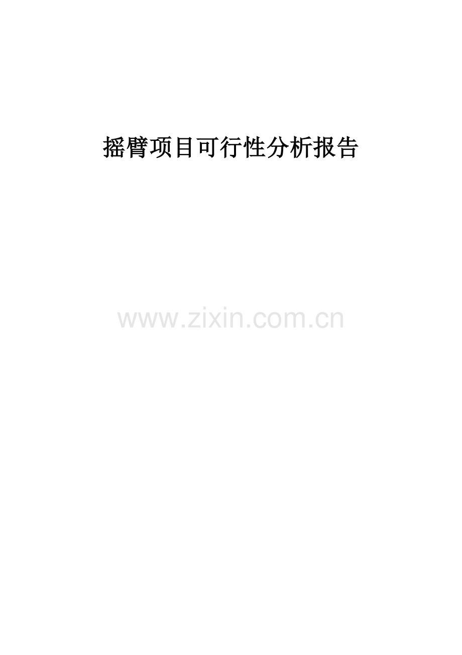 2024年摇臂项目可行性分析报告.docx_第1页