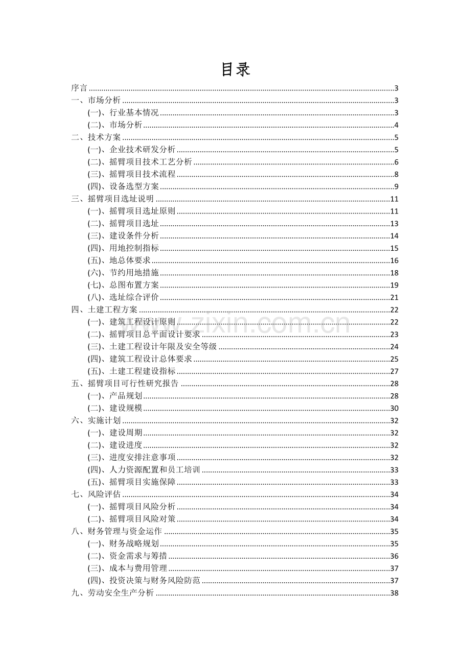 2024年摇臂项目可行性分析报告.docx_第2页