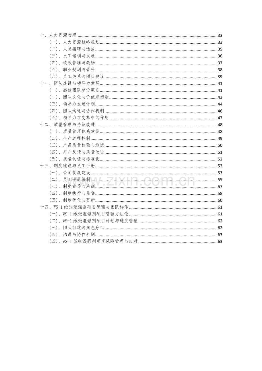 2024年WS-1纸张湿强剂项目投资分析及可行性报告.docx_第3页