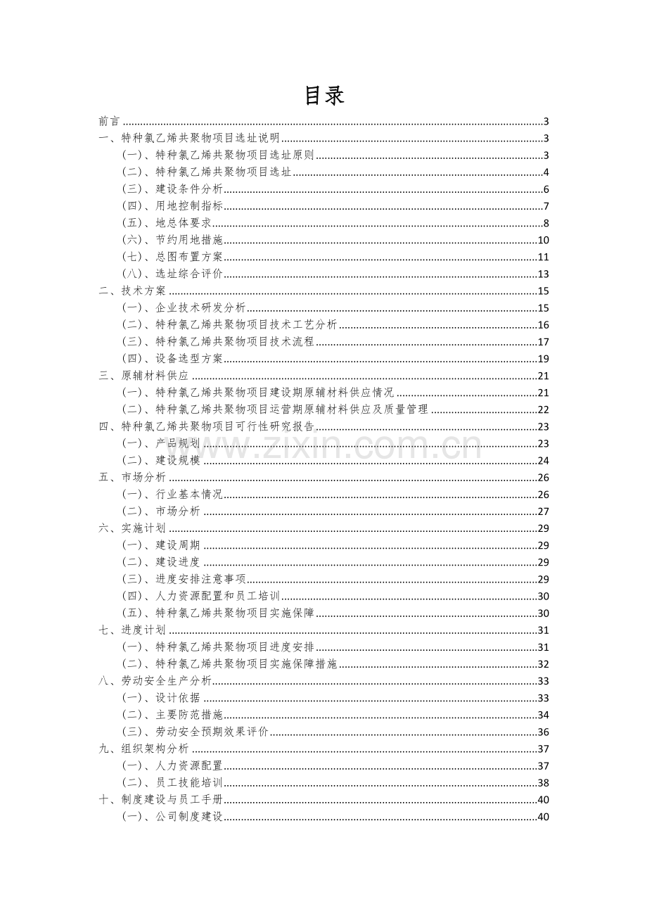 2024年特种氯乙烯共聚物项目投资分析及可行性报告.docx_第2页